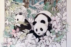 Pandas