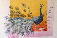 25