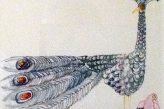 26